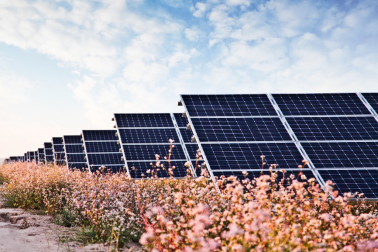 中國華能的“高性價比”光伏電站，妙招在這里！